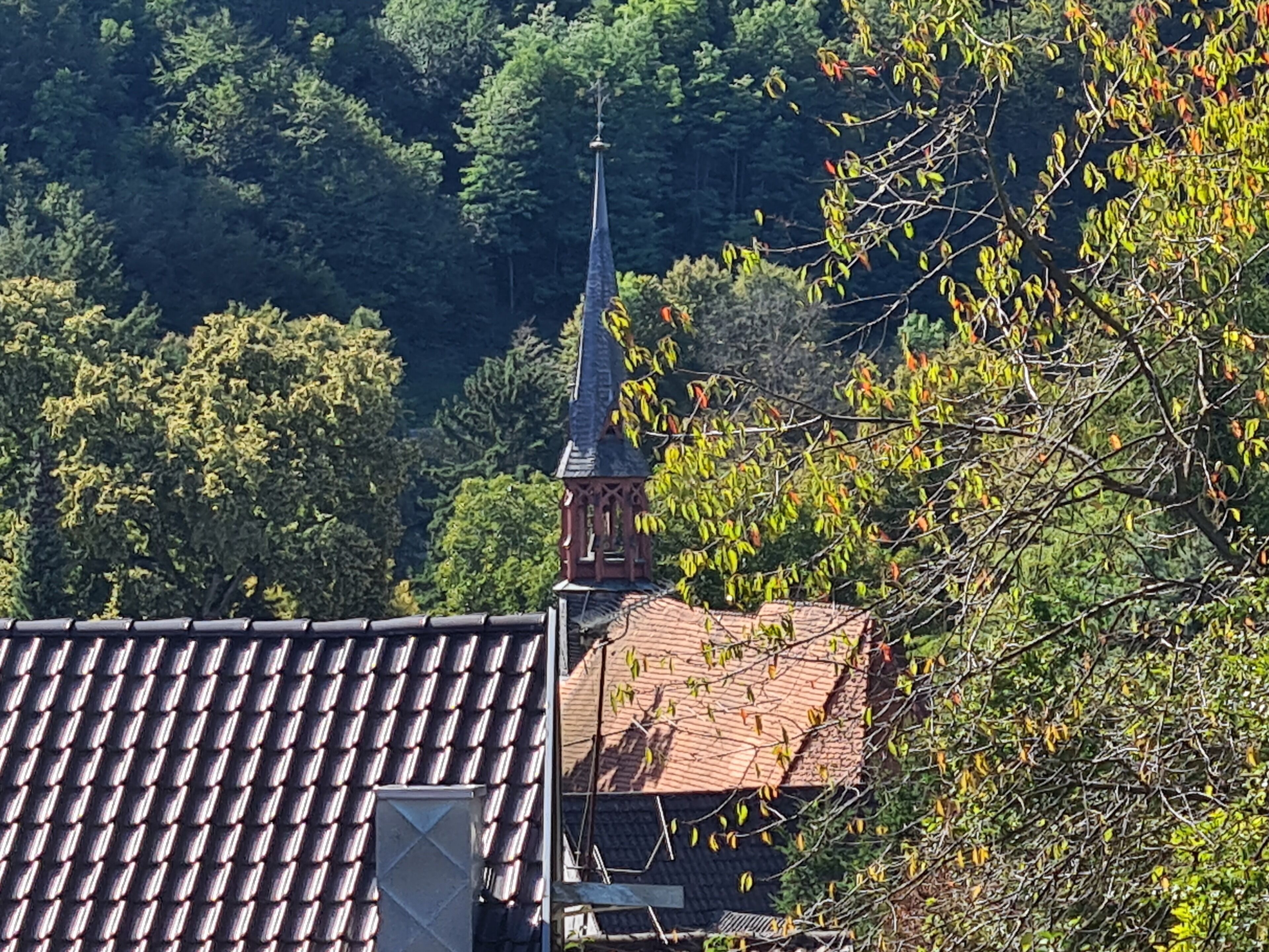 A building with a tiled roof and a spire, surrounded by dense foliage.