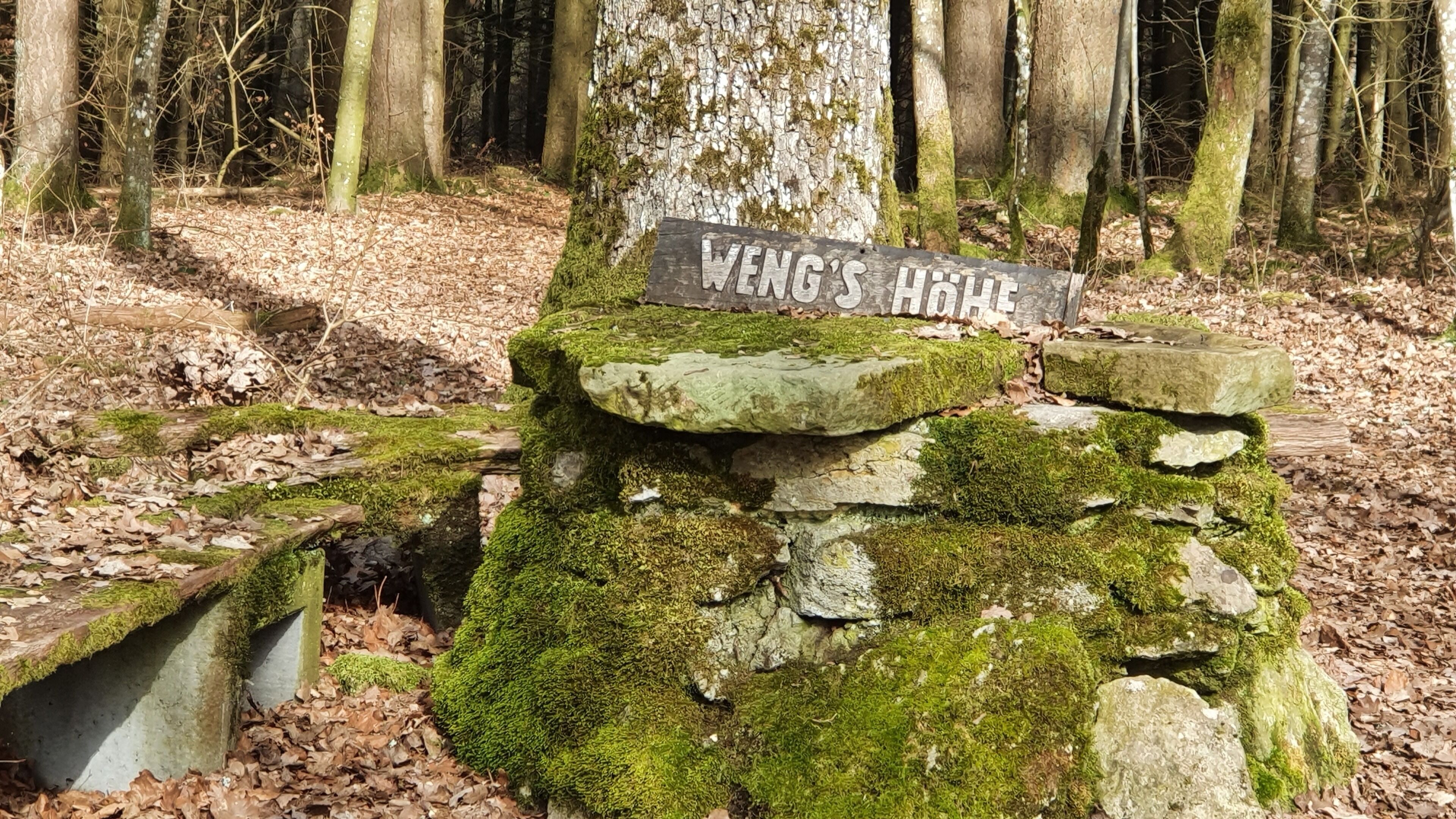 Une structure en pierre recouverte de mousse, sur laquelle on peut lire l’inscription « WENG’S HOBBY ».