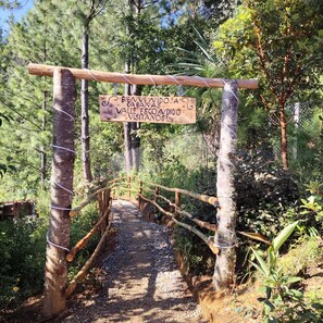 Un cartel de madera con un mensaje en español, un puente de madera rústico y un sendero arbolado.
