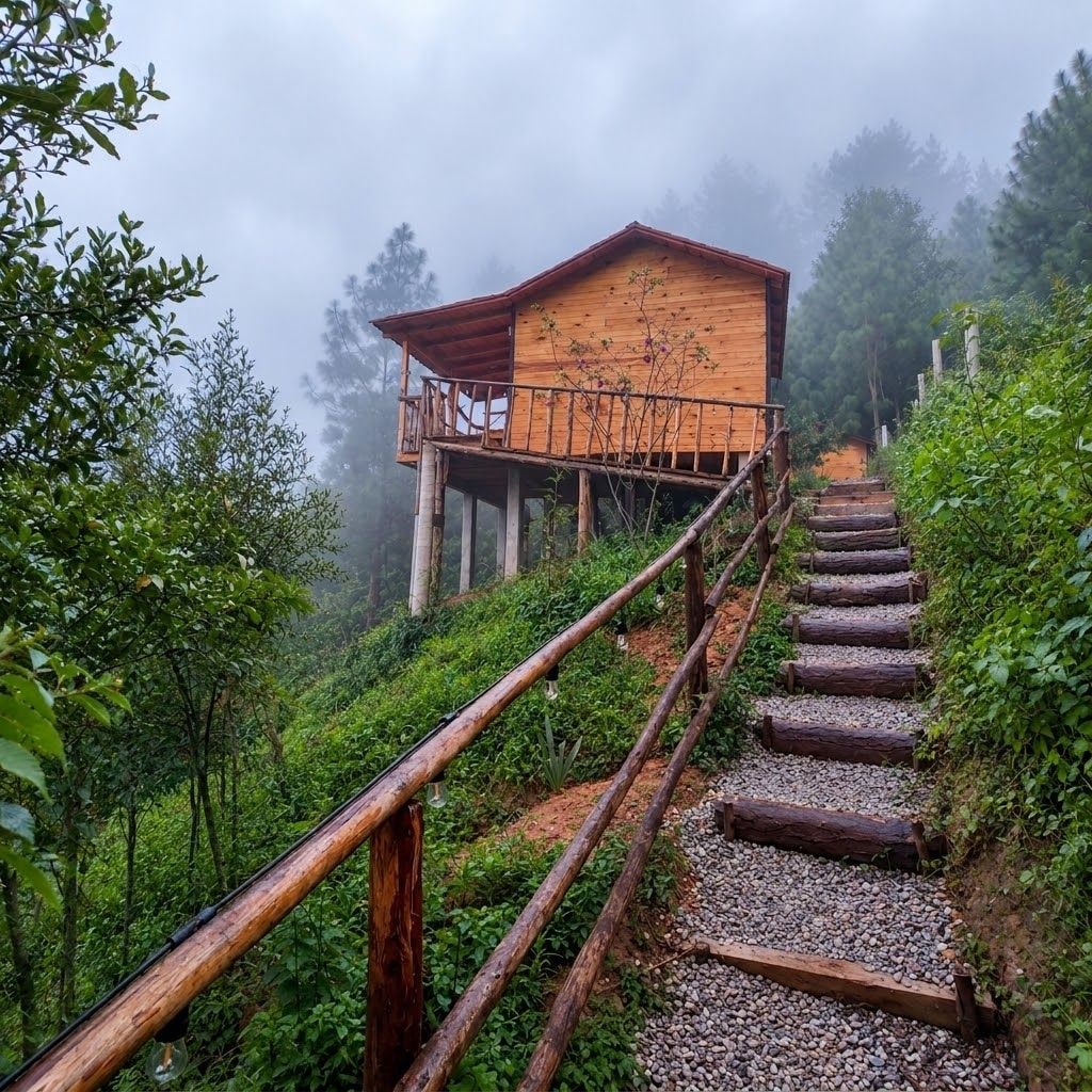 A wooden cabin with a balcony, surrounded by a forested area and a gravel path leading to it.