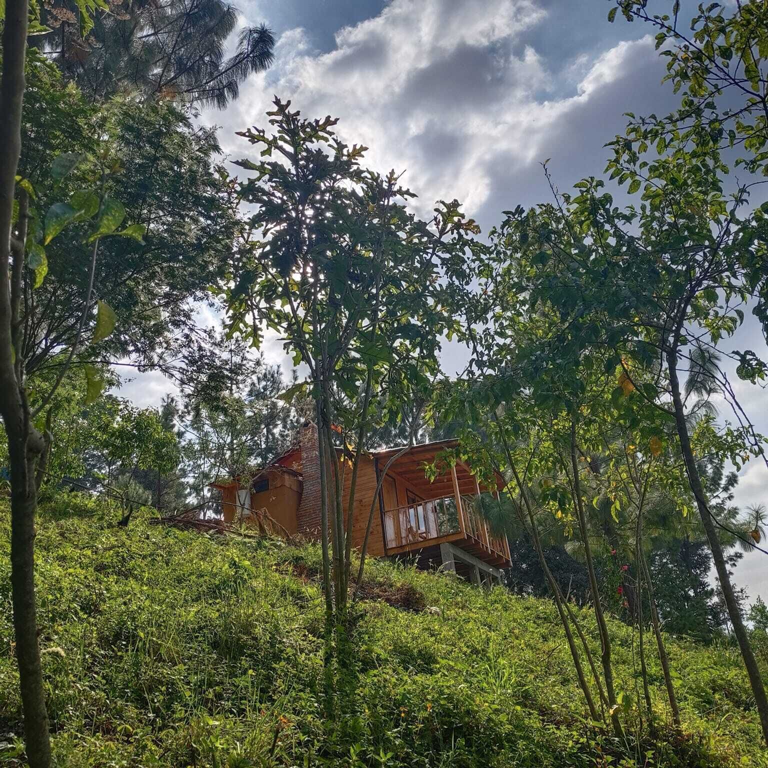Eine Holzhütte, umgeben von dichtem Grün.