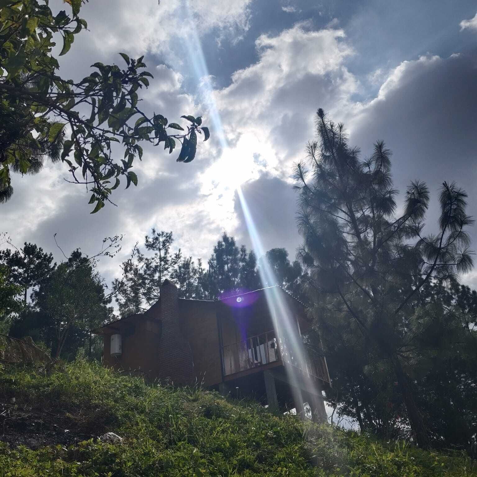 Un edificio rodeado de árboles y vegetación, con una chimenea visible.