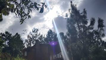 Un edificio rodeado de árboles y vegetación, con una chimenea visible.