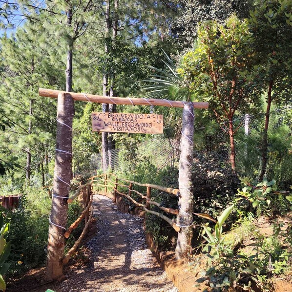 A wooden signpost with a message for visitors, a rustic wooden bridge, and a forested path.
