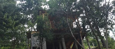 A treehouse structure built into a forested area with visible wooden beams and a platform.