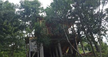 Cabañas valle escondido
