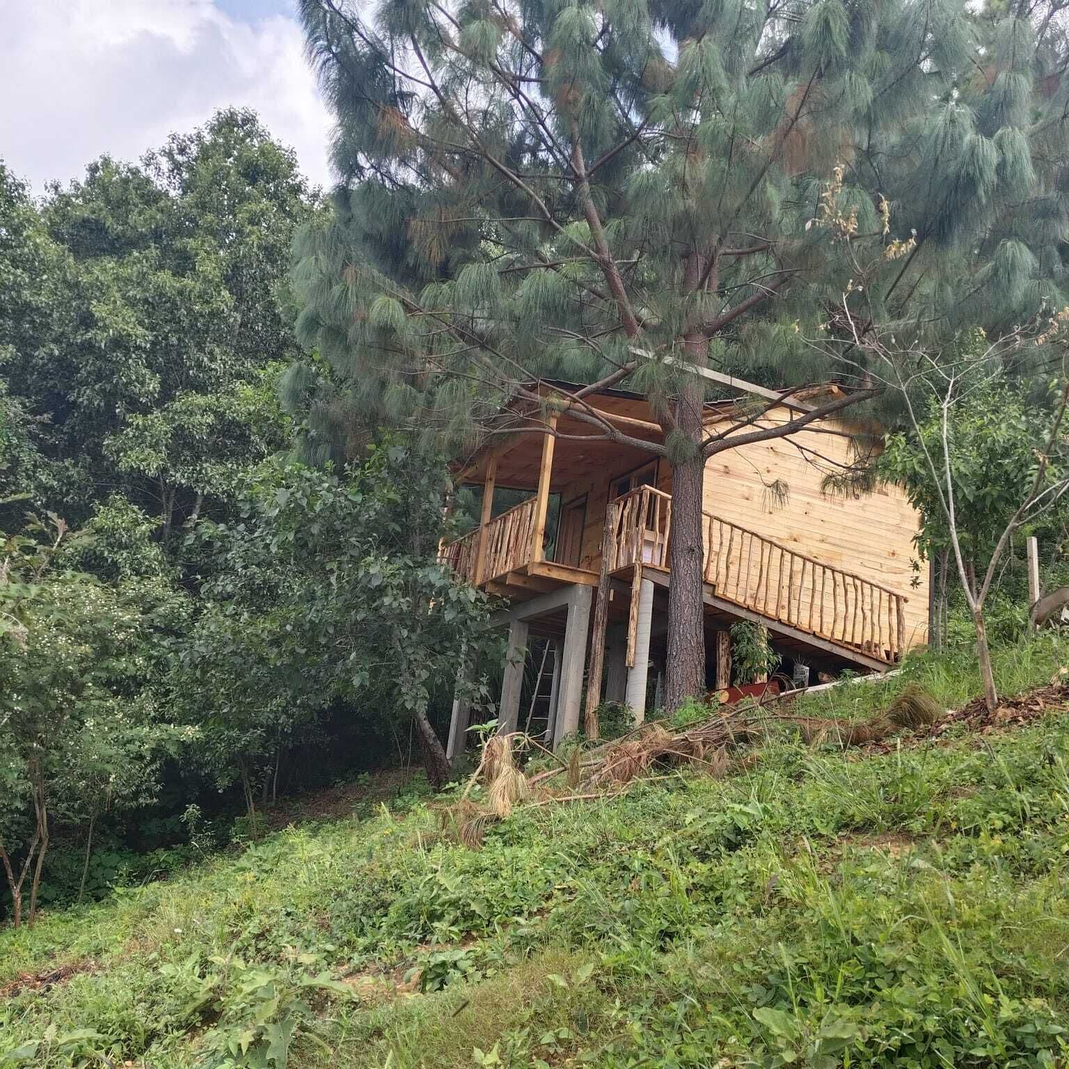 Basic Cabin, Balcony, Mountain View | Exterior