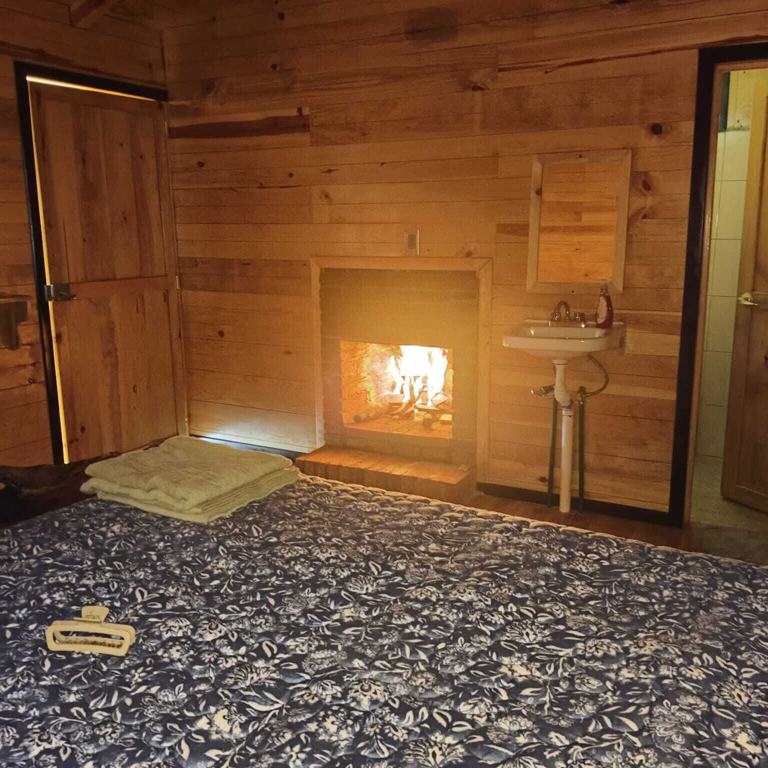 Una habitación tipo cabaña de madera con una cama, una chimenea y un lavamanos.