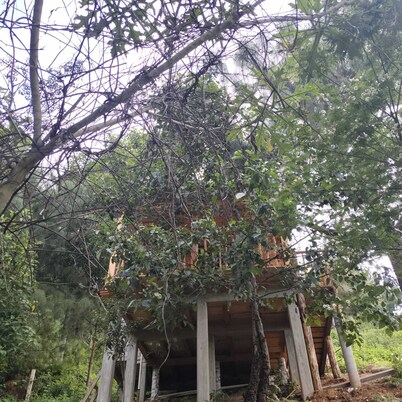 Cabañas valle escondido 