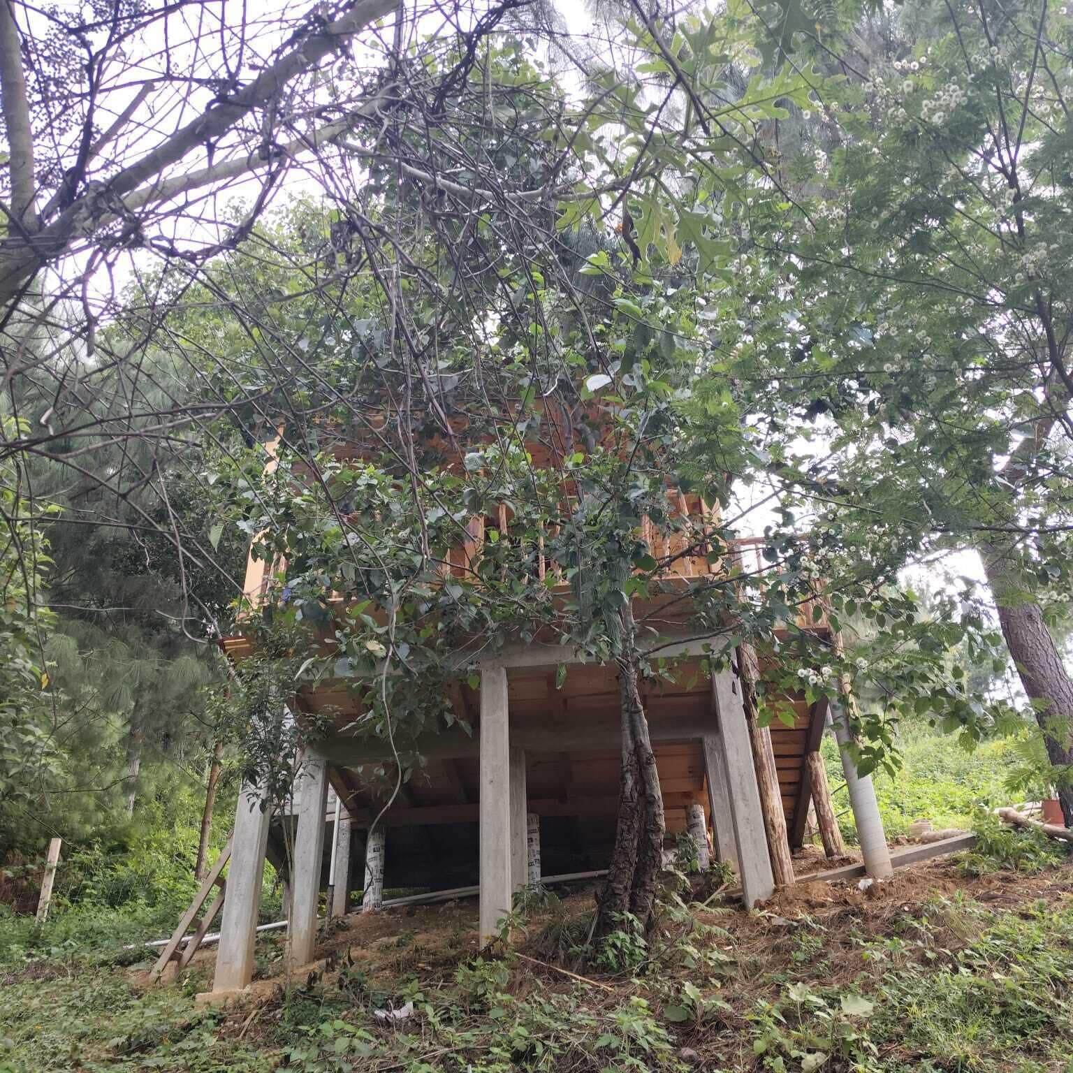Cabaña básica, balcón, vista al valle | Exterior