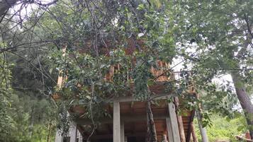 Cabaña básica, balcón, vista al valle | Exterior