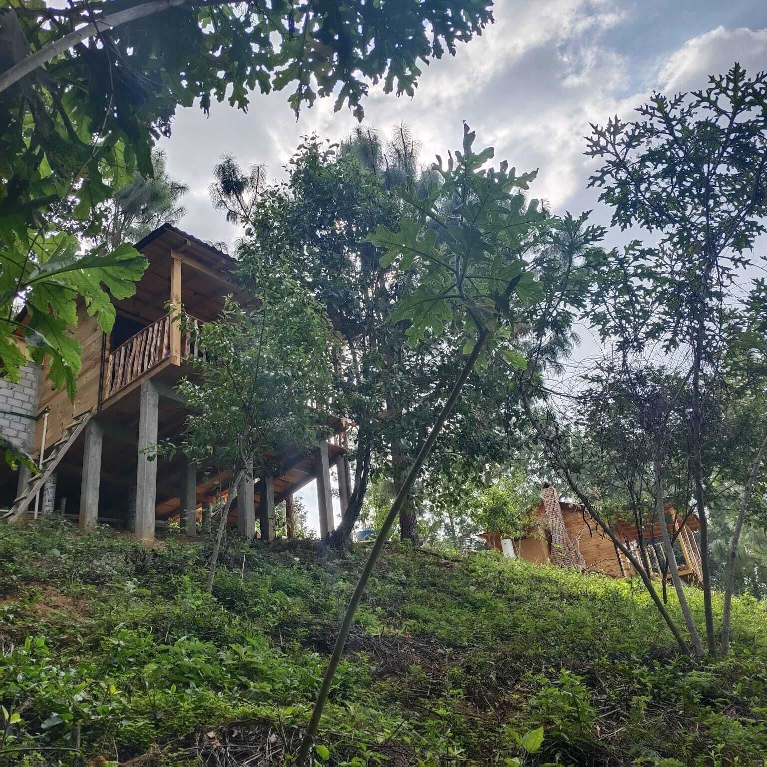 Una estructura de madera con balcón, rodeada de abundante follaje y árboles.
