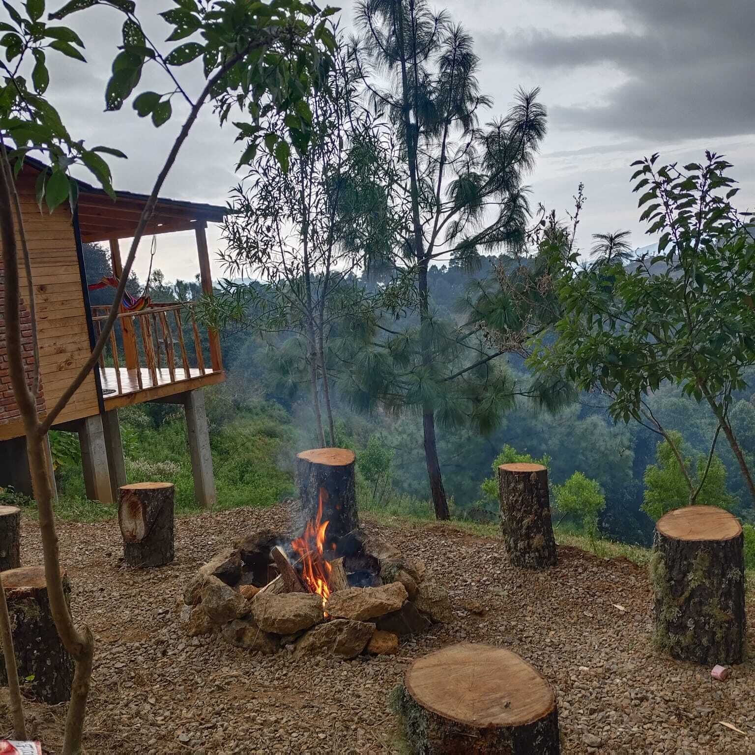 Une terrasse en bois avec un foyer, entourée de souches d’arbres, le tout se fondant dans un paysage boisé.