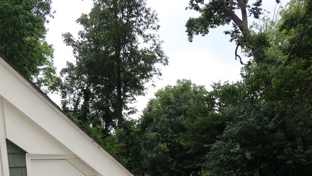 Uma área de pátio com móveis de vime, uma porta branca e vista para um gramado verde e árvores.