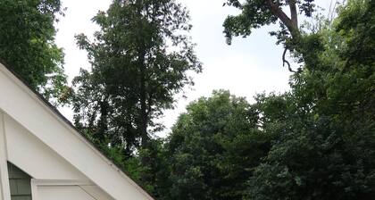 Delightful 2-bedroom condo with AC in Greensboro