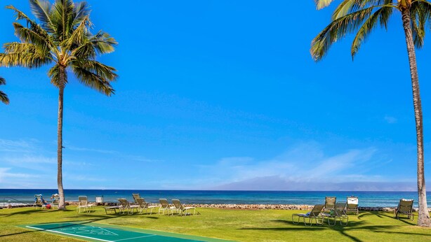 A sunny outdoor area with a shuffleboard court, lounge chairs, and palm trees. - Papakea | 3 Ocean View Villas, Sleeps 12 | Car Incl. w/ 6+ Nights | ML-4262 by KBM (Lahaina)