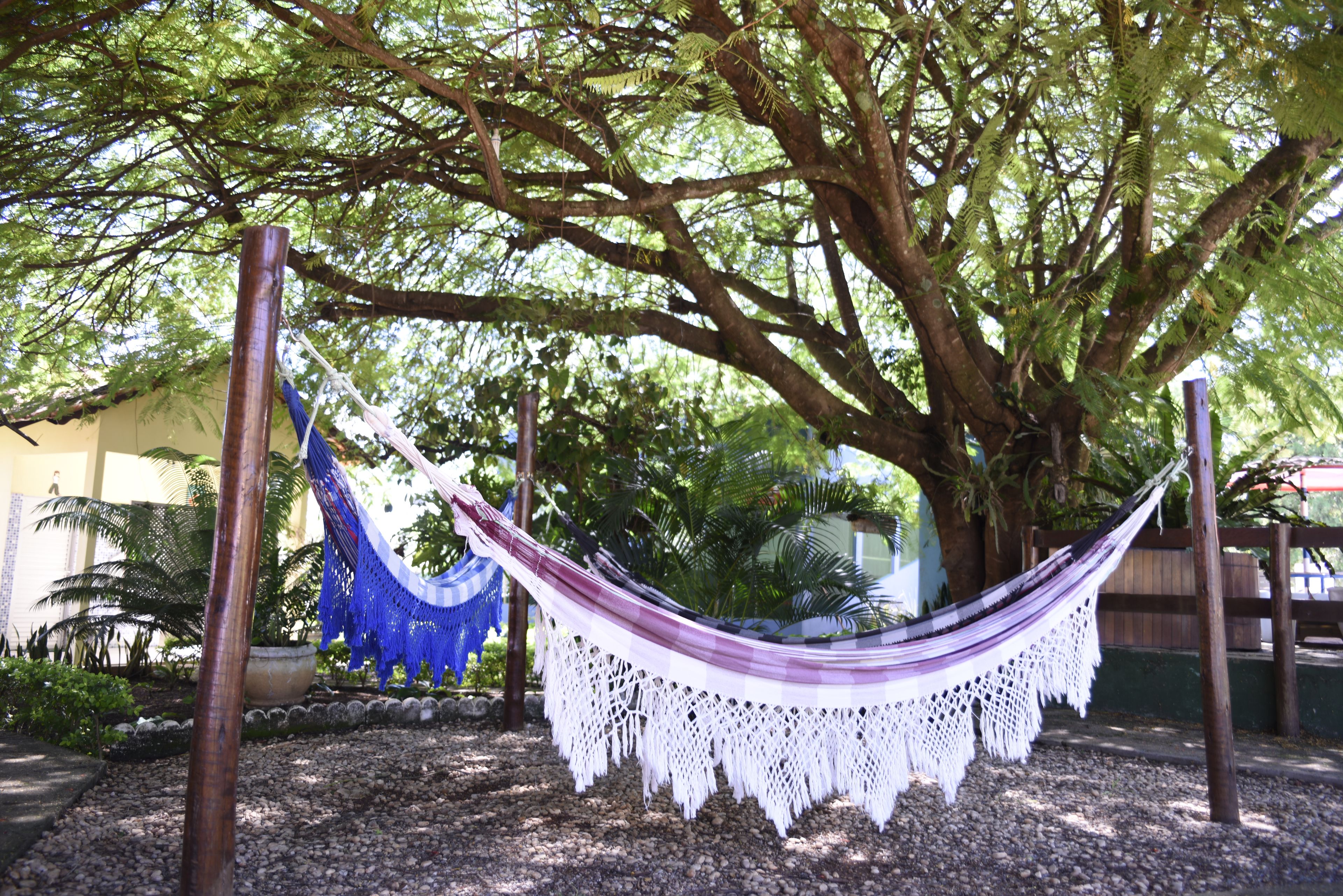 A hammock under a large tree, surrounded by pebbles and greenery.