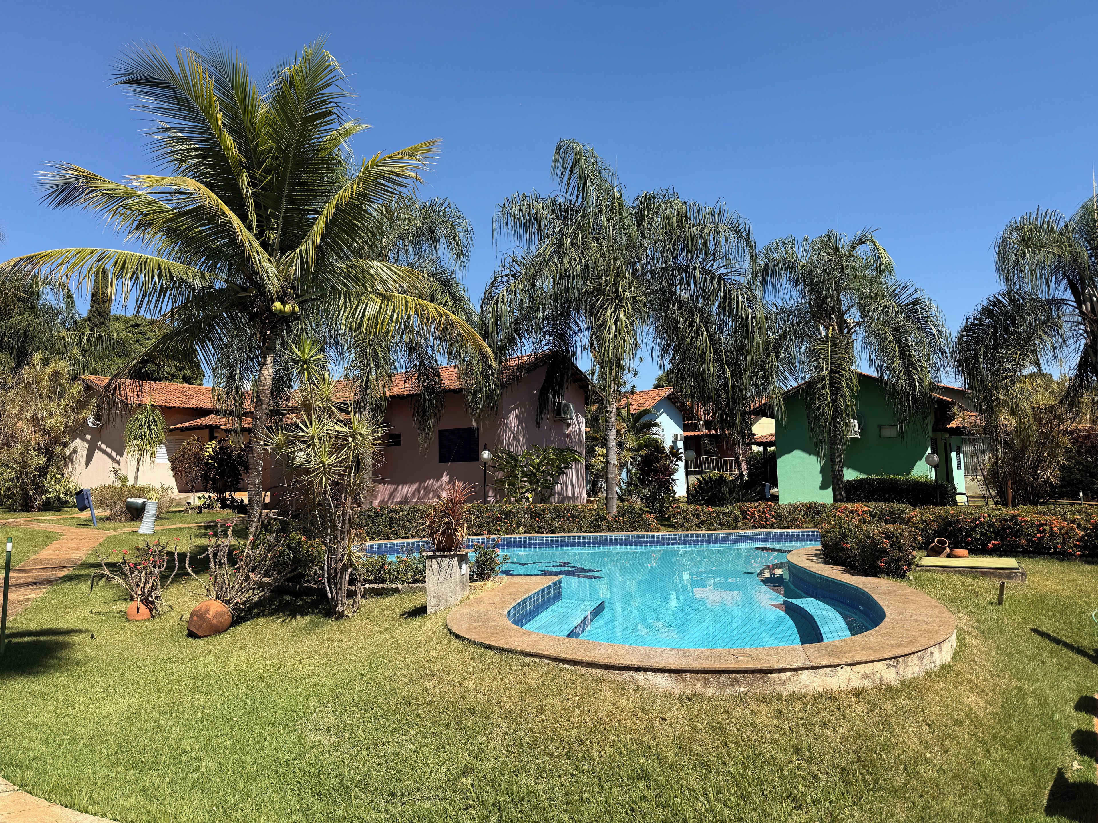 Una piscina rodeada de césped, palmeras y casas con techos de tejas rojas.