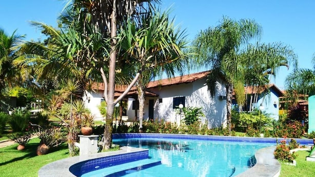 A swimming pool with a curved edge, surrounded by a grassy area and palm trees.