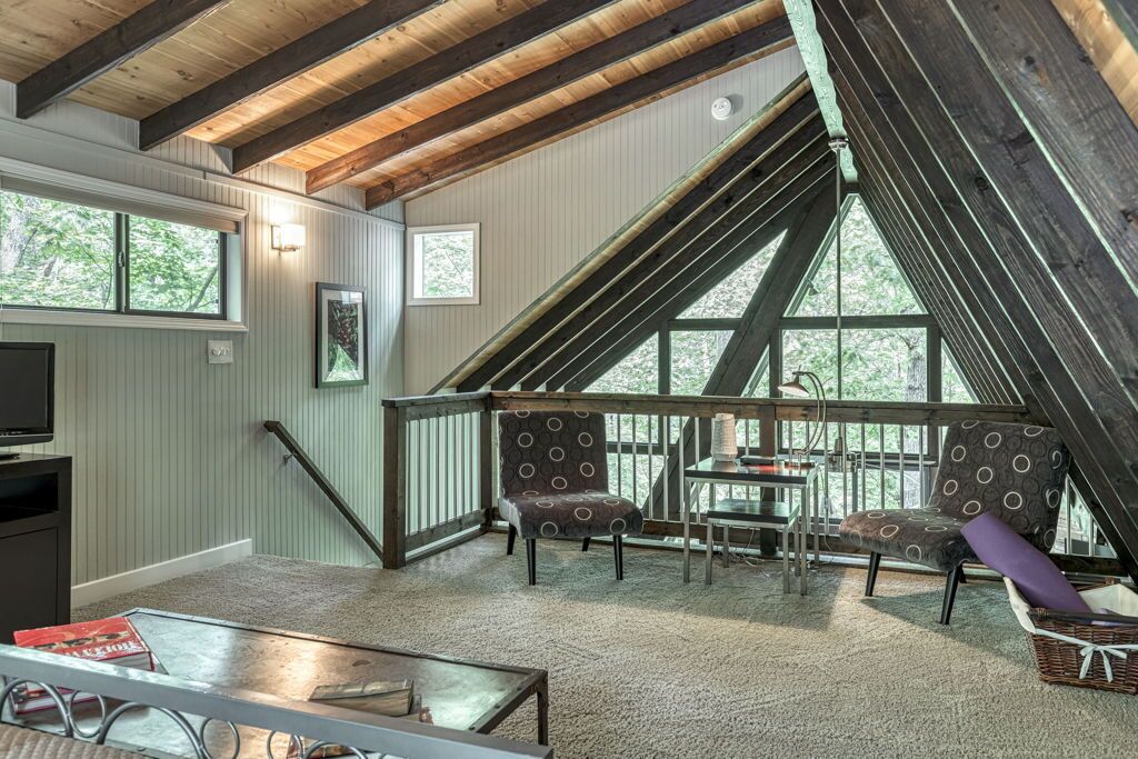 TV, fireplace, books