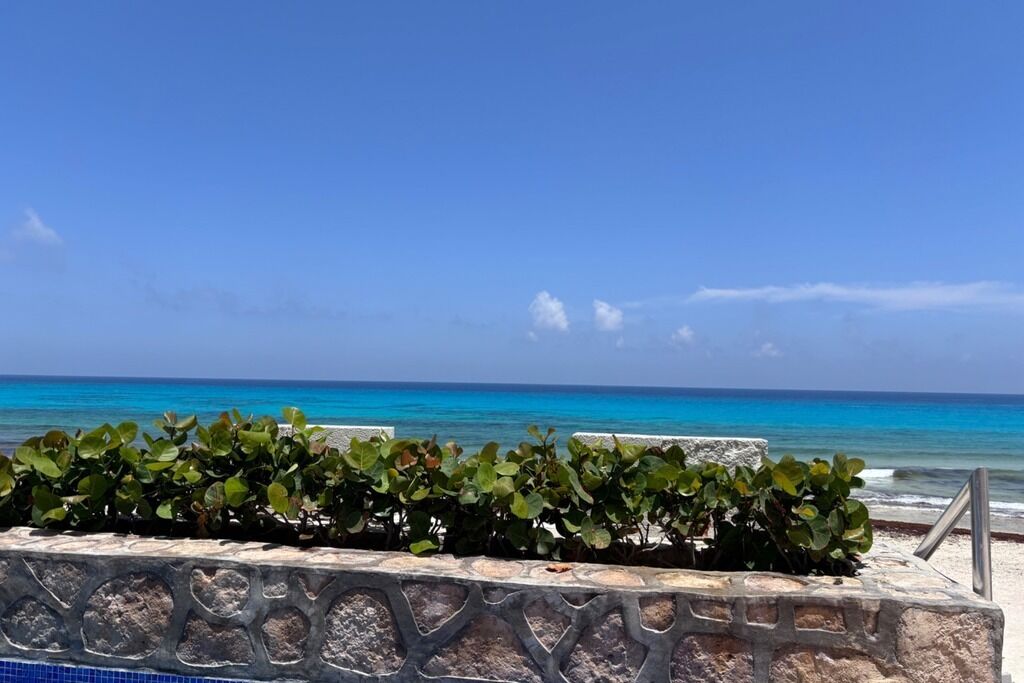A stone wall with greenery in front of a beach with clear blue water.