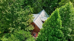 Una casa circondata da alberi verdi e fitti.