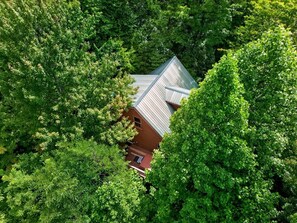 Ein Haus, umgeben von dichtem Grün.