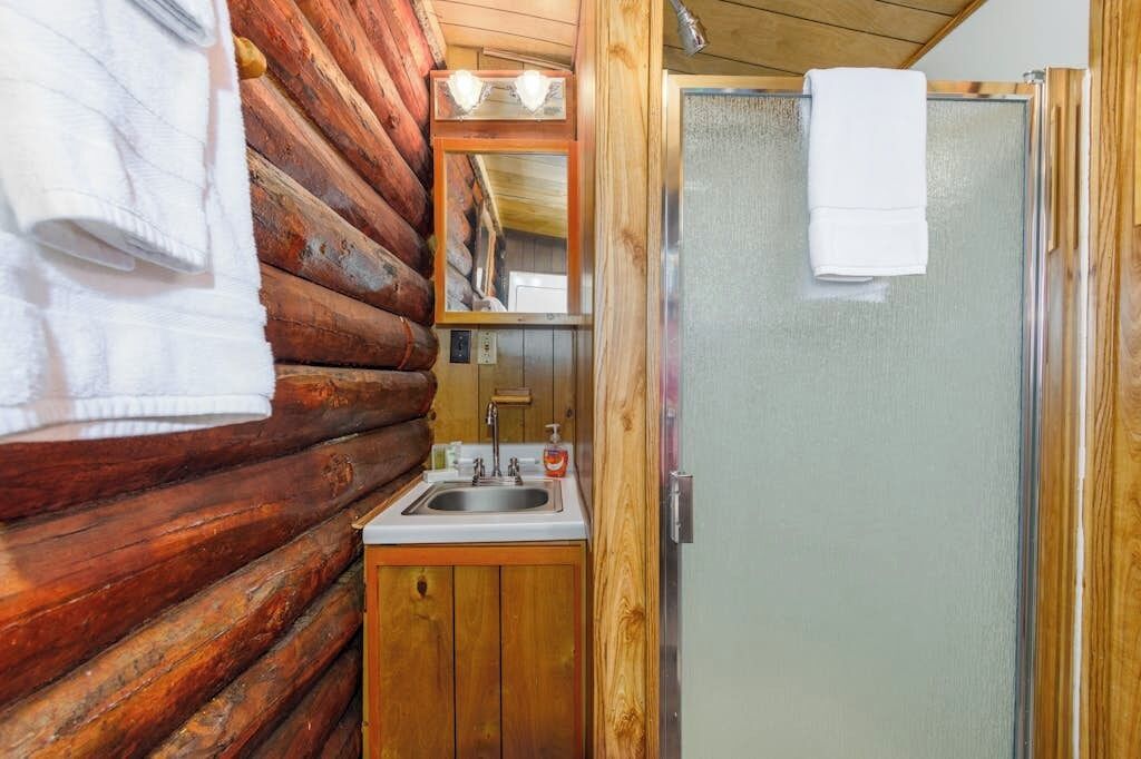 Alpehytte (1 Bedroom) | Innvendig