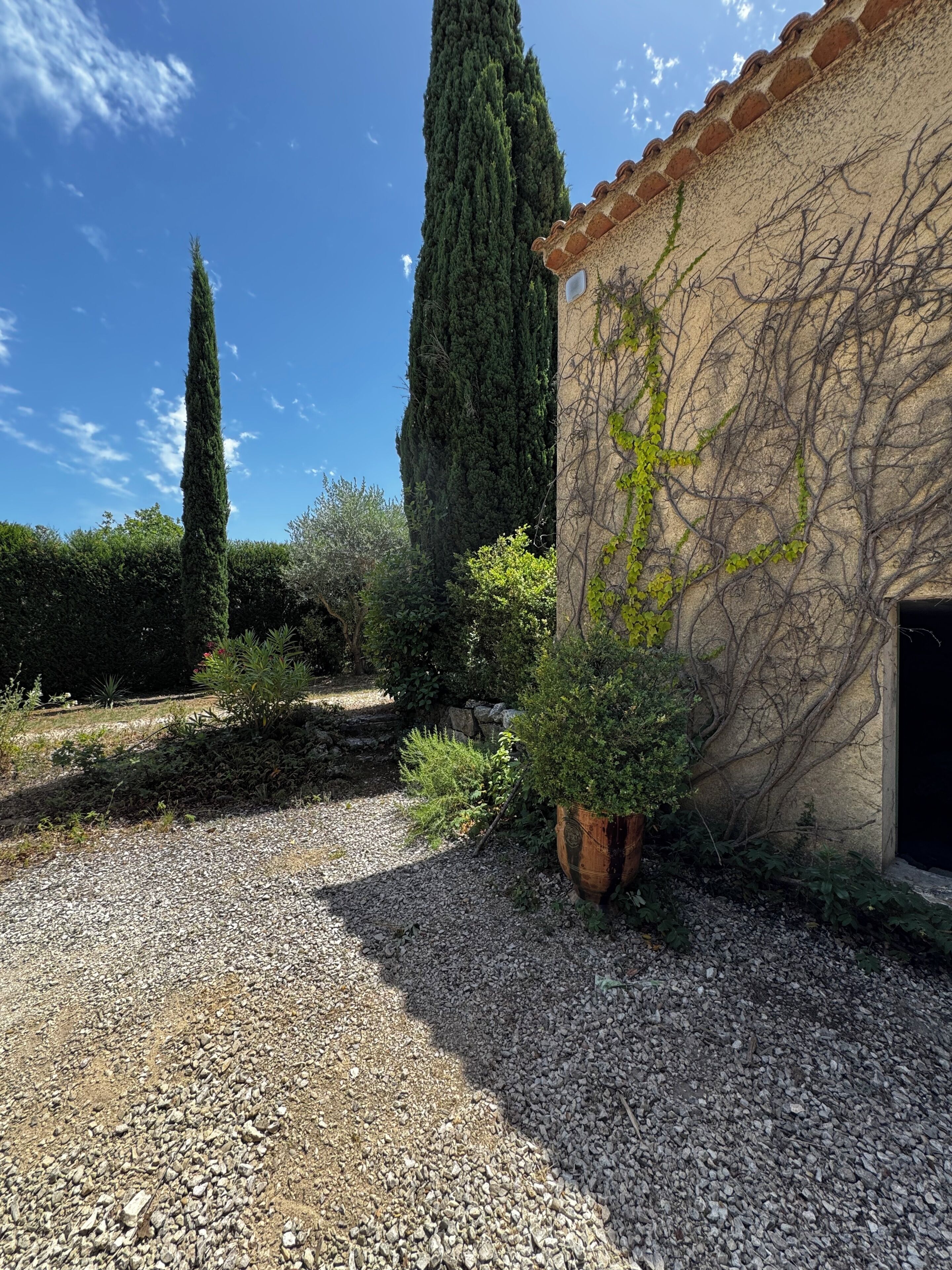 Une allée de gravier mène à un bâtiment doté d’un toit en tuiles et de murs recouverts de lierre.