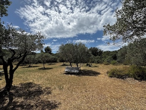 An outdoor area with a bench, trees, and a clear sky. - Family villa with a pool and garden, featuring a view (Caumont-sur-Durance)