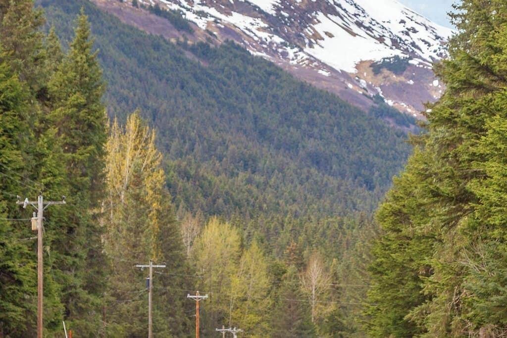 Paisagem montanhosa com floresta densa e um pico nevado ao longe.
