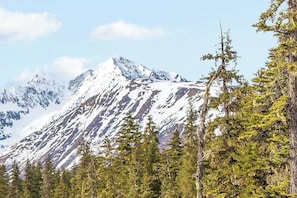 Interior - Downtown Girdwood Condo Close to Everything (Girdwood)