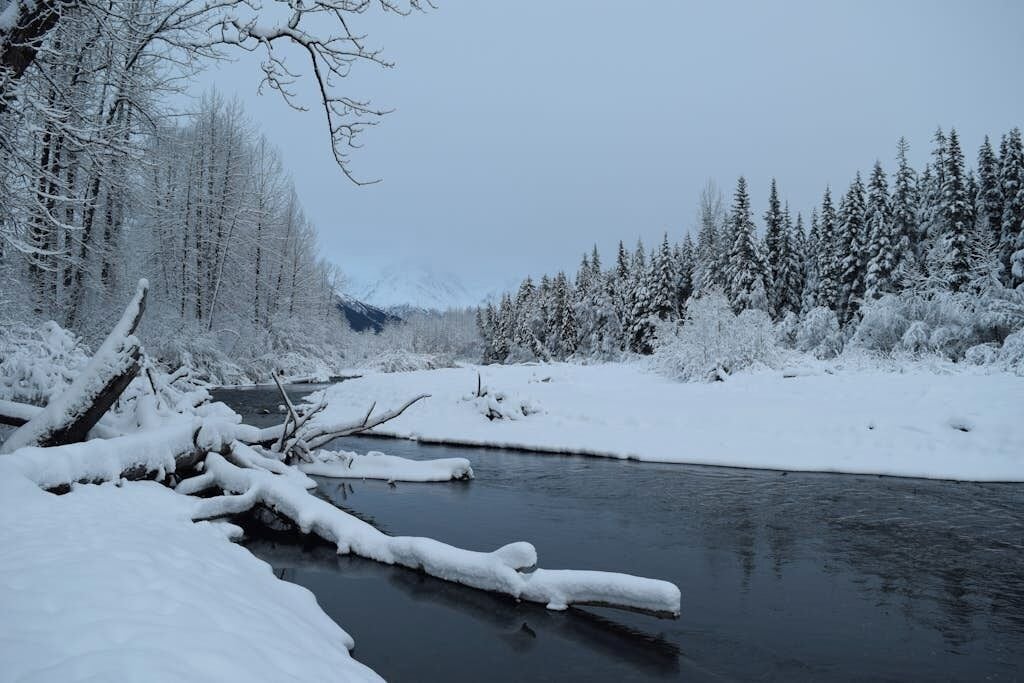 A snowy river landscape with trees and a fallen tree in the foreground.