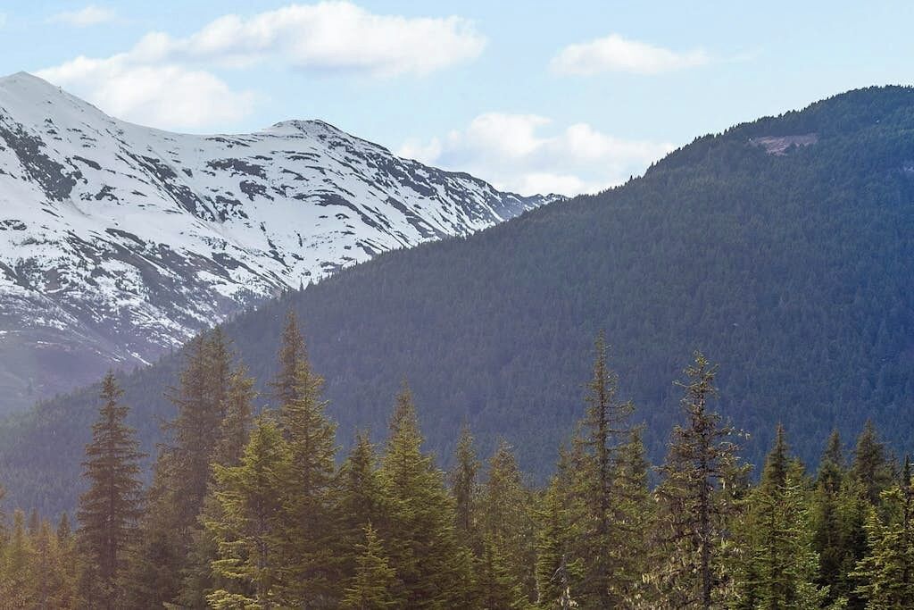 A mountainous landscape with snow-covered peaks and dense forest.