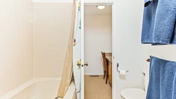 House (1 Bedroom) | Interior