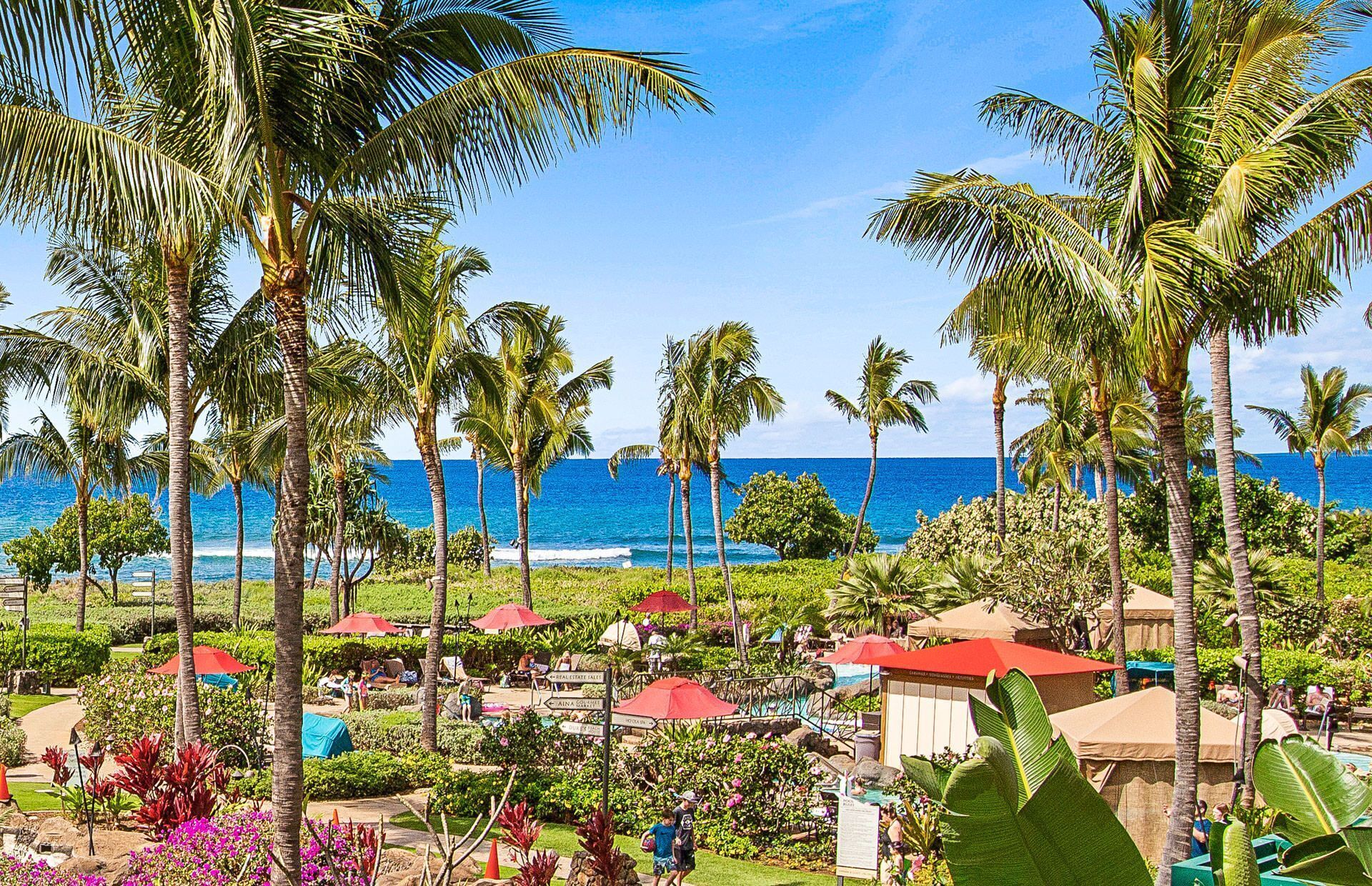 A resort with palm trees, a pool area, and a view of the ocean.