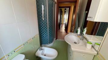 A bathroom with a shower, bidet, toilet, sink, and mirror.