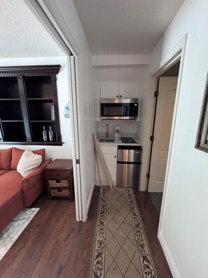 A compact living space with a kitchenette, a sofa, and a patterned rug. - COZY LAKE FRONT 1-bedroom apartment, kitchen, balcony on East Lake TOHO. (St. Cloud)