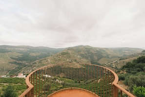 A panoramic view from a balcony with a metal railing, overlooking terraced vineyards and rolling hills.