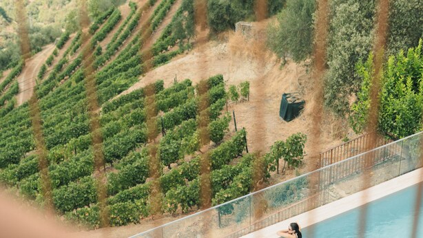 A pool with a person swimming, surrounded by a fence and a view of a vineyard. - Douro Olive Hills Village - by FERO (Alijo)