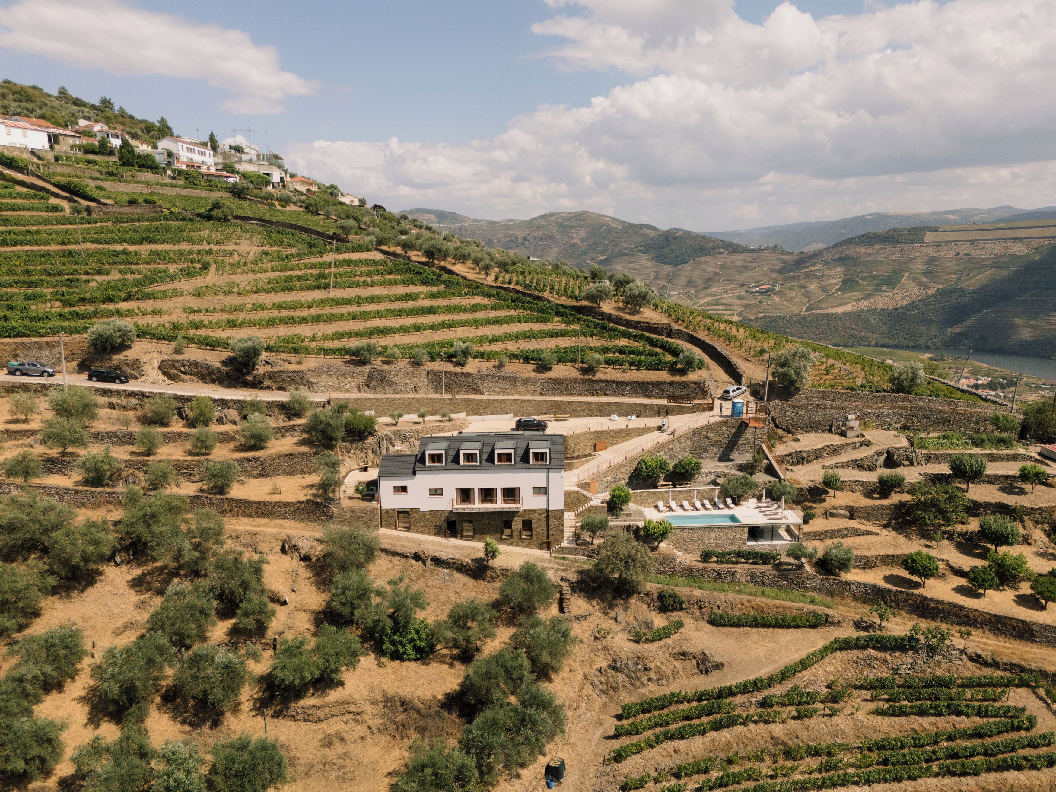 A hillside property with terraced vineyards, a white building with multiple windows, and a swimming pool.