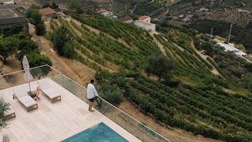 Una piscina con sillas de descanso y vistas a viñedos en terrazas.