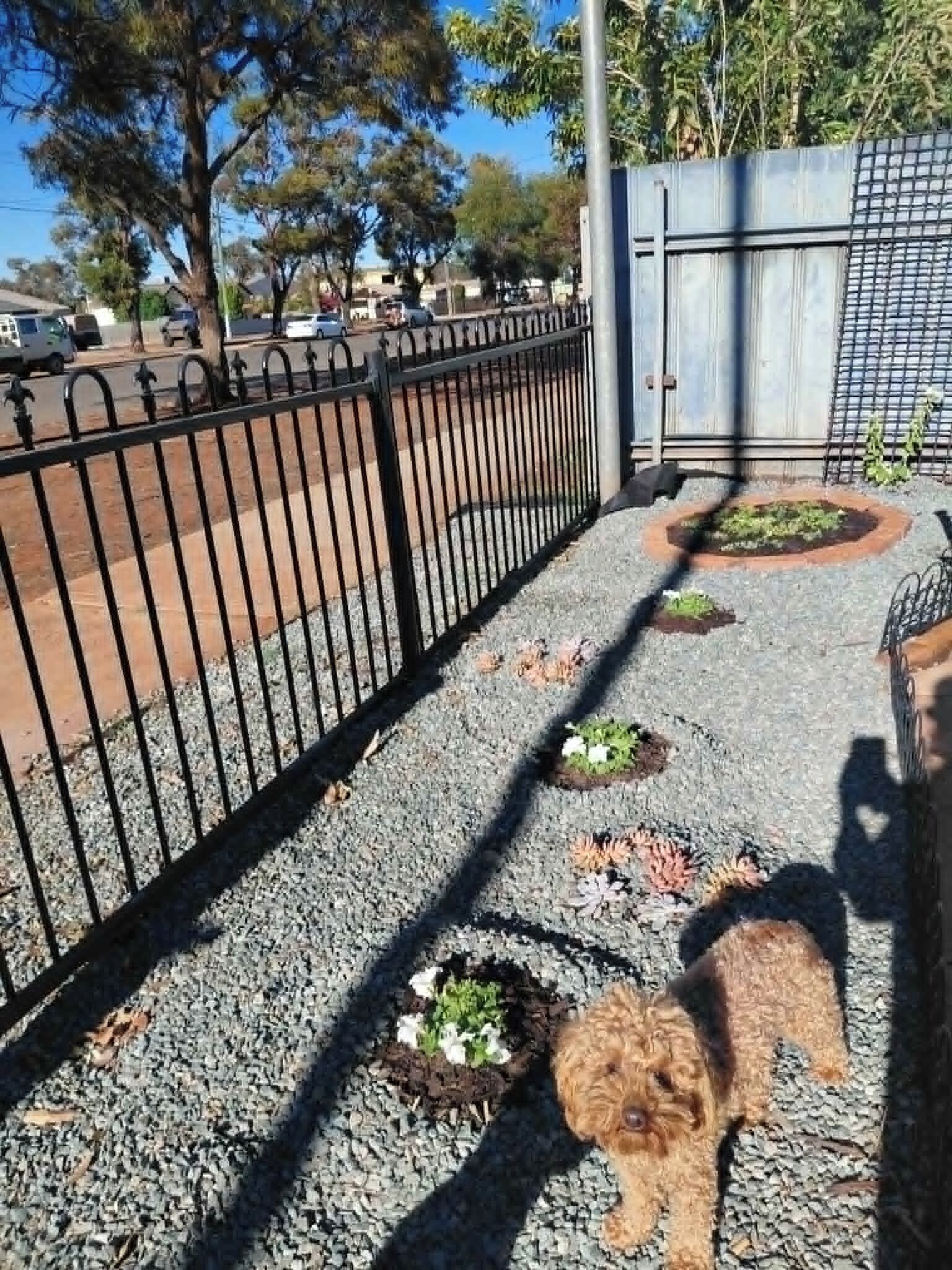A paved pathway with a metal fence, gravel, and small plants.