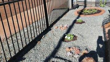 A paved pathway with a metal fence, gravel, and small plants.