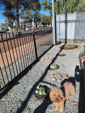A paved pathway with a metal fence, gravel, and small plants.