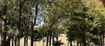 Byrd Homestead - Hill Top