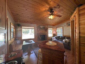TV, fireplace