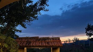 An outdoor cooking area with a stone structure, a fire pit, and a stack of firewood. - A 19th-century farmhouse with spacious grounds surrounded by greenery and a swimming pool (Molise)