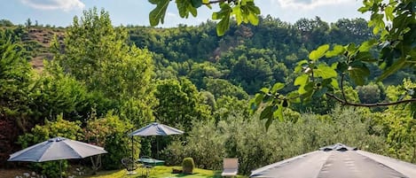 A swimming pool with lounge chairs and umbrellas, surrounded by greenery and hills.