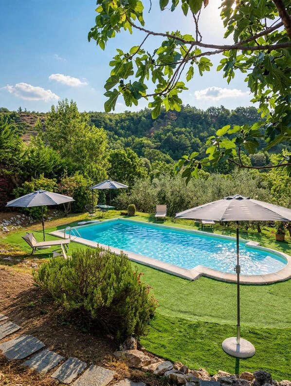A swimming pool with lounge chairs and umbrellas, surrounded by greenery and hills.